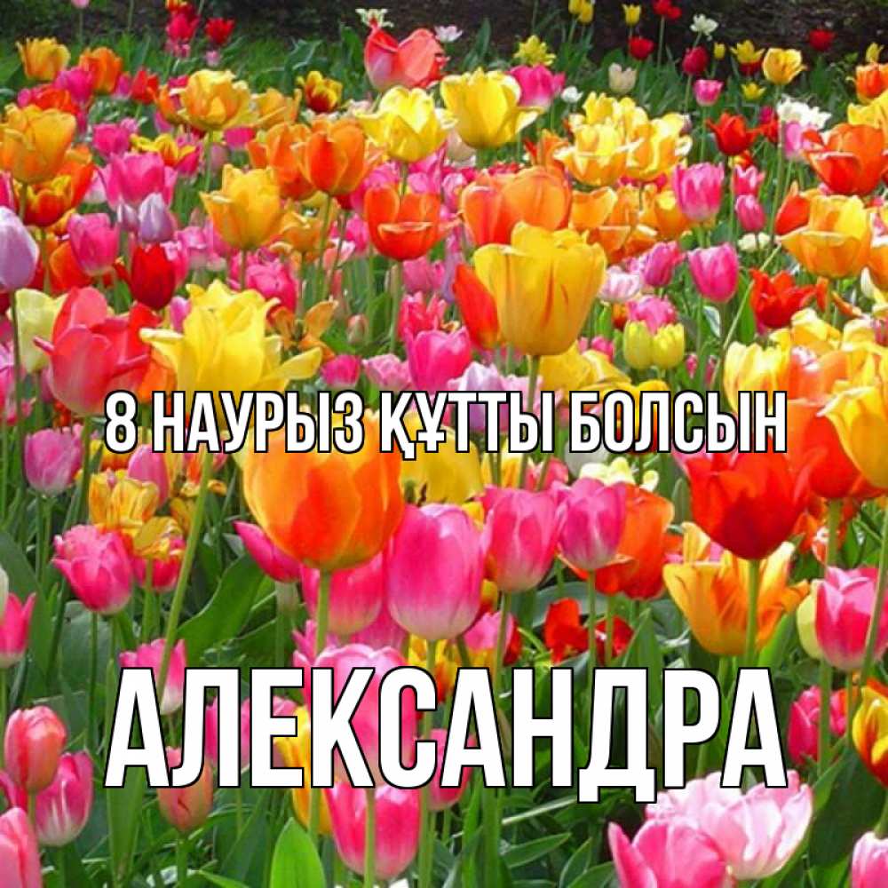 Күн сайын ашық хат с именем, Александра 8 наурыз құтты болсын на международный женский день Онлайн тегін жүктеп алу тілектері бар керемет карта 