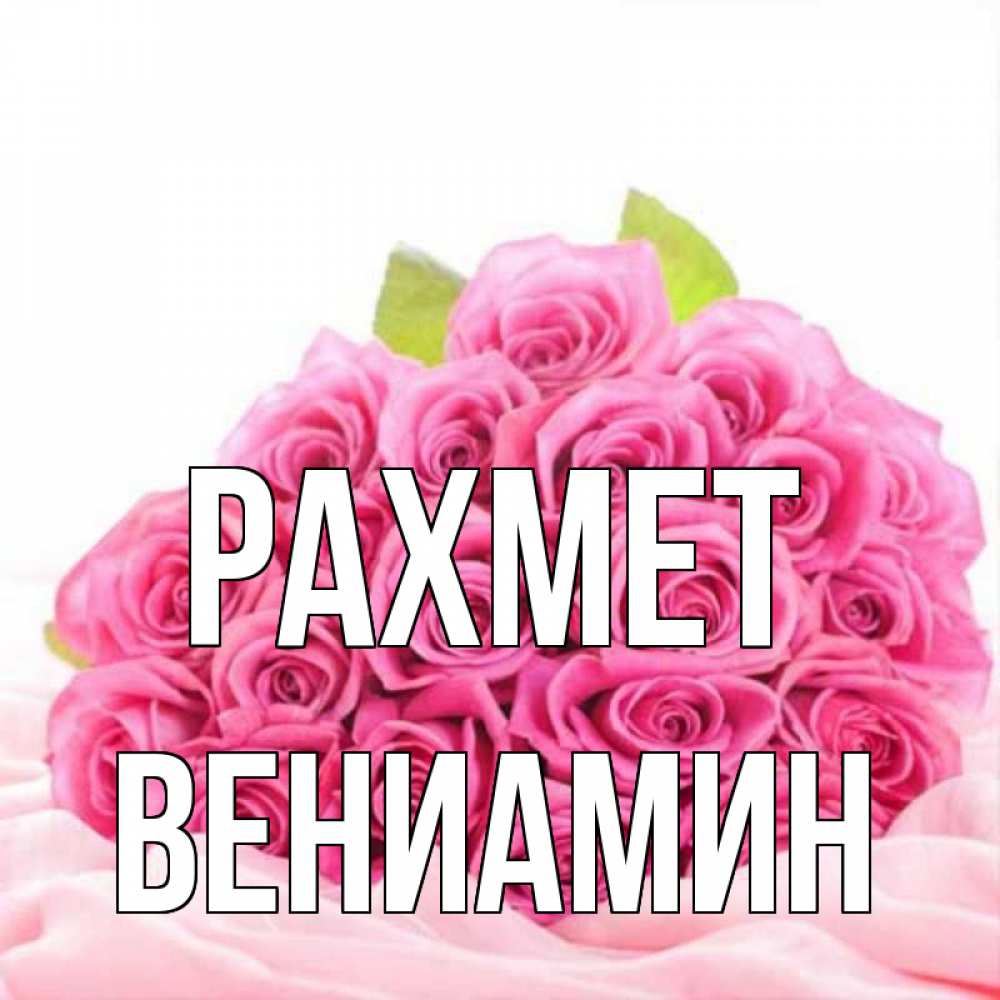 Күн сайын ашық хат с именем, Вениамин рахмет розовые розы с подписью Онлайн тегін жүктеп алу тілектері бар керемет карта 