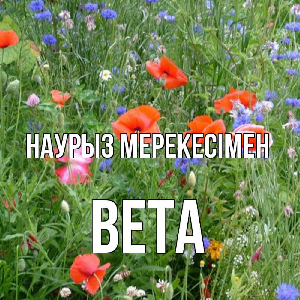 Күн сайын ашық хат с именем, Вета Наурыз мерекесімен праздник весны наурыз супер открытка Онлайн тегін жүктеп алу тілектері бар керемет карта 