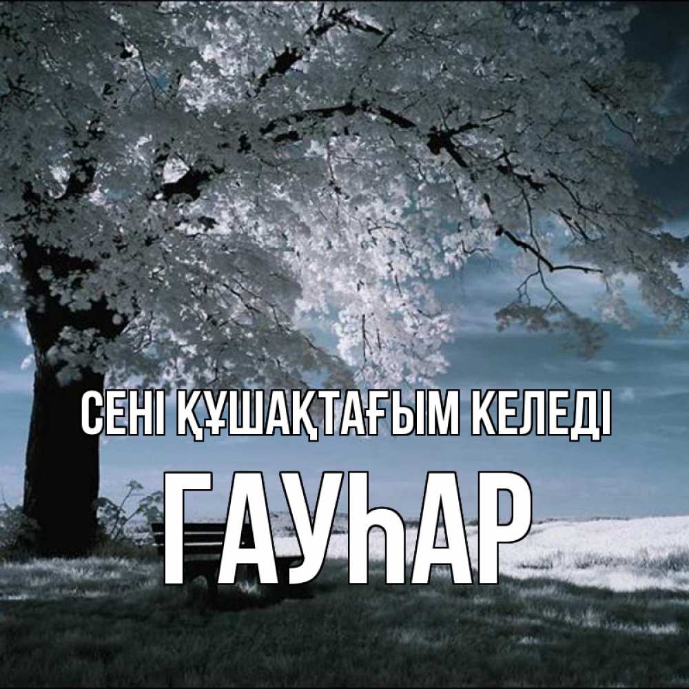 Күн сайын ашық хат с именем, Гауһар сені құшақтағым келеді дерево Онлайн тегін жүктеп алу тілектері бар керемет карта 