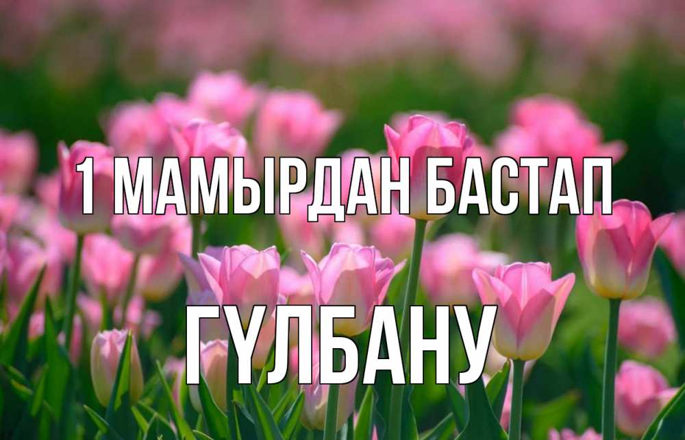 Күн сайын ашық хат с именем, ГҮЛБАНУ 1 мамырдан бастап С 1 мая Онлайн тегін жүктеп алу тілектері бар керемет карта 