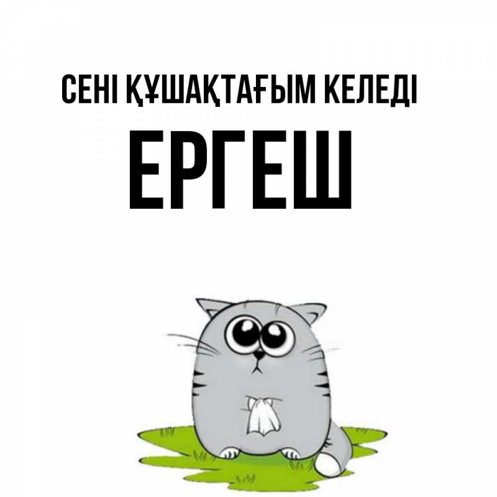 Күн сайын ашық хат с именем, Ергеш сені құшақтағым келеді котик теребит платочек сидя на травке Онлайн тегін жүктеп алу тілектері бар керемет карта 