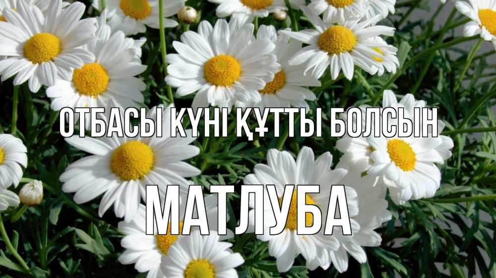 Күн сайын ашық хат с именем, МАТЛУБА отбасы күні құтты болсын с днем семьи Онлайн тегін жүктеп алу тілектері бар керемет карта 