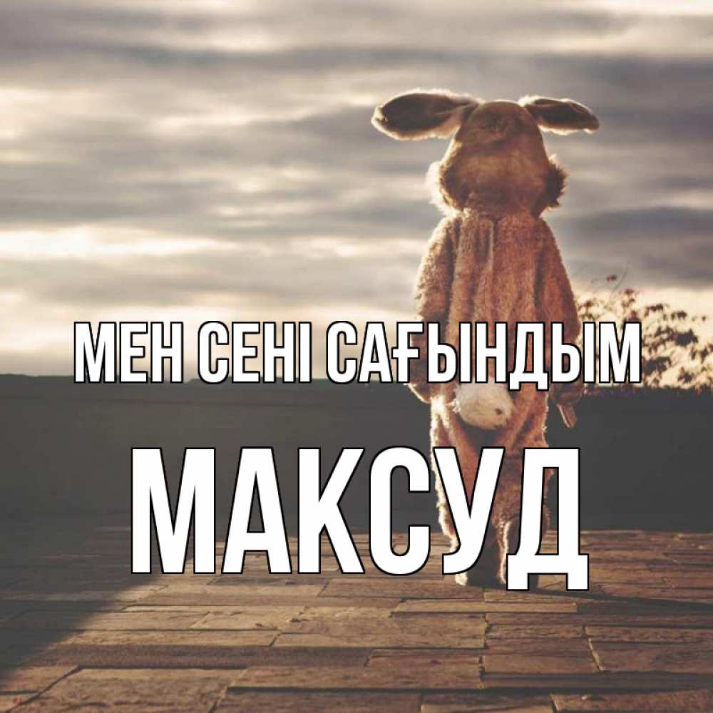 Күн сайын ашық хат с именем, Максуд Мен сені сағындым даже в костюме зайца Онлайн тегін жүктеп алу тілектері бар керемет карта 