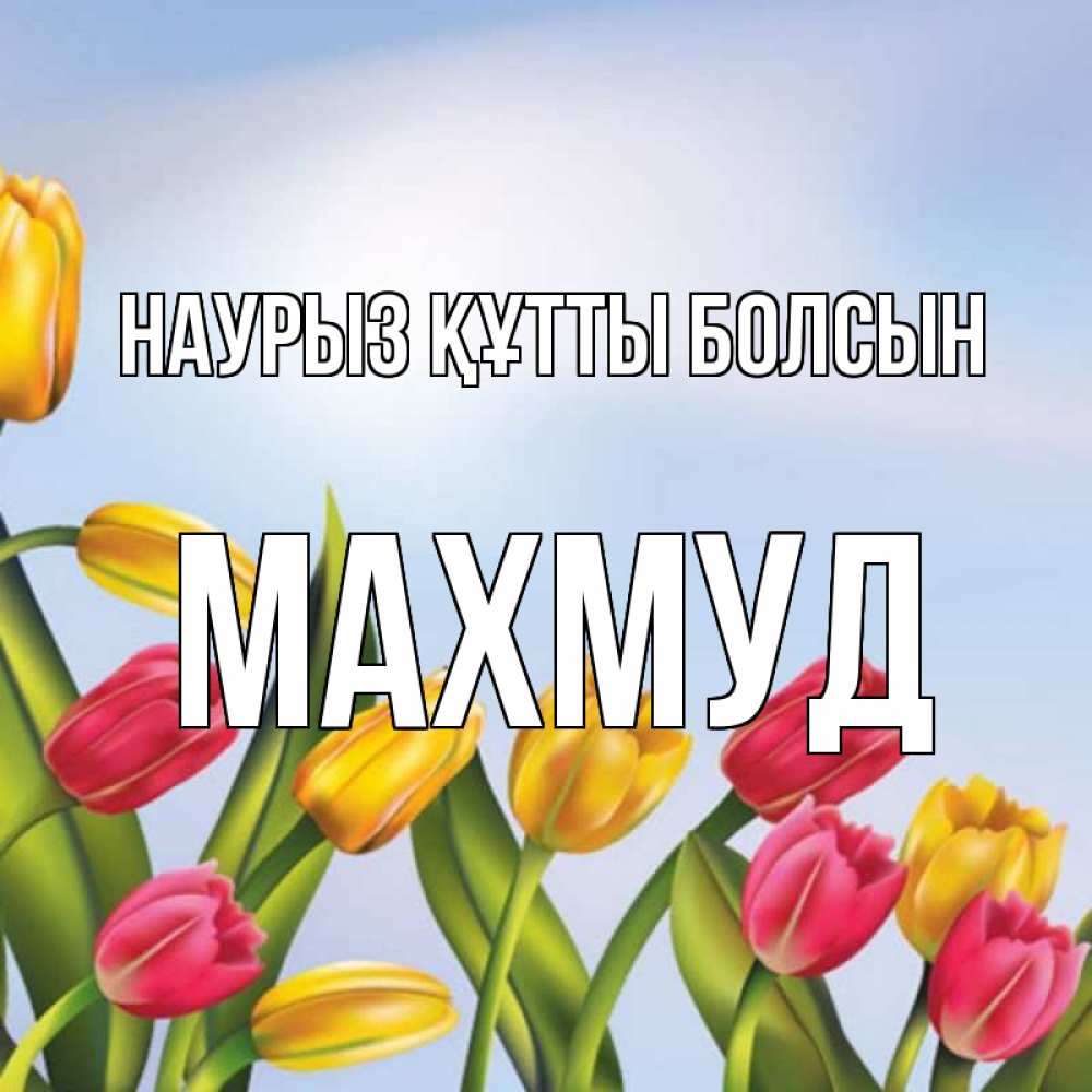 Күн сайын ашық хат с именем, Махмуд Наурыз құтты болсын наурыз Онлайн тегін жүктеп алу тілектері бар керемет карта 