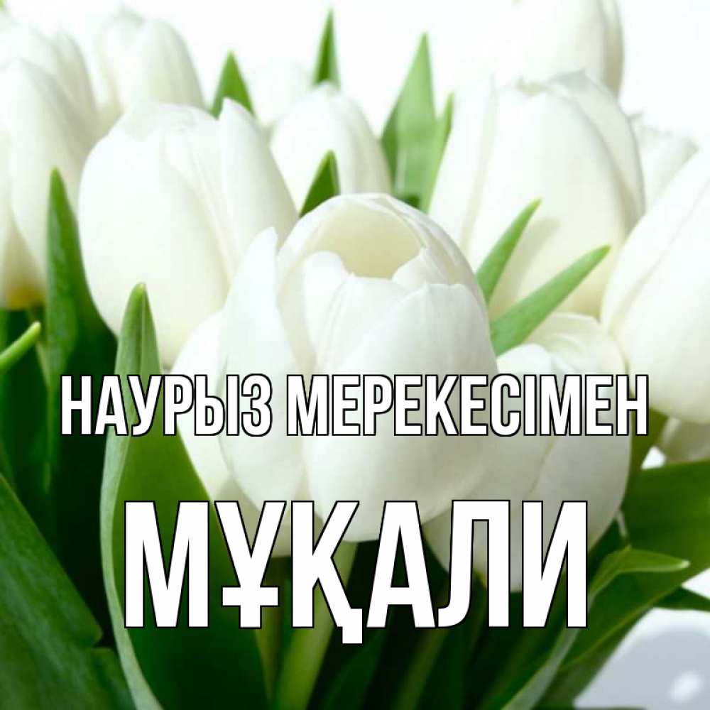 Күн сайын ашық хат с именем, МҰҚАЛИ Наурыз мерекесімен цветы Онлайн тегін жүктеп алу тілектері бар керемет карта 