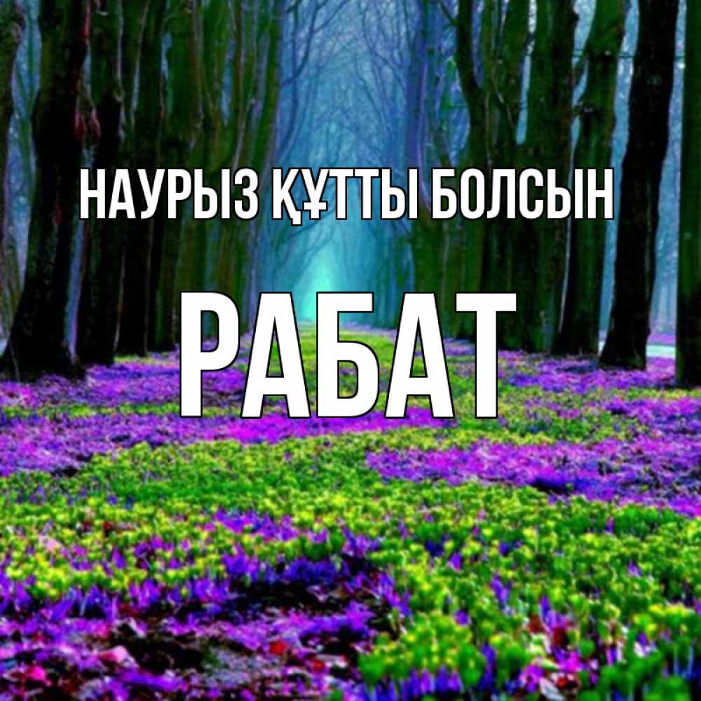 Күн сайын ашық хат с именем, РАБАТ Наурыз құтты болсын фиолетовые цветы в лесу 1 Онлайн тегін жүктеп алу тілектері бар керемет карта 