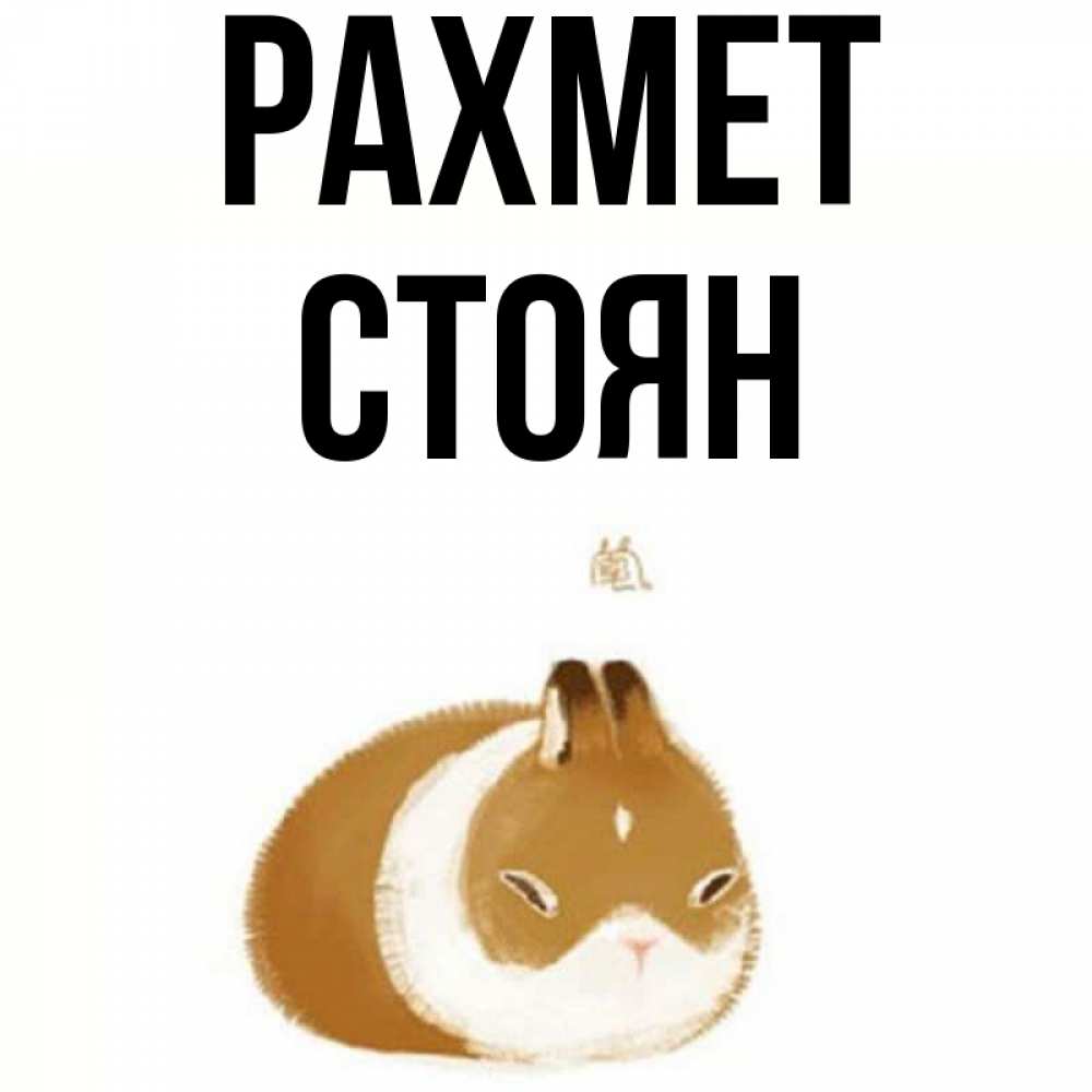 Күн сайын ашық хат с именем, Стоян рахмет коричнево белый домашний питомец Онлайн тегін жүктеп алу тілектері бар керемет карта 