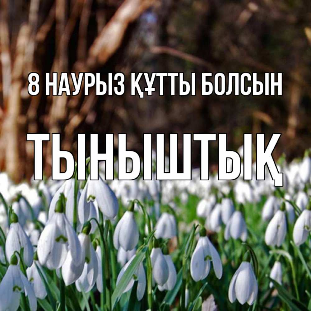 Күн сайын ашық хат с именем, ТЫНЫШТЫҚ 8 наурыз құтты болсын с подснежниками 1 Онлайн тегін жүктеп алу тілектері бар керемет карта 