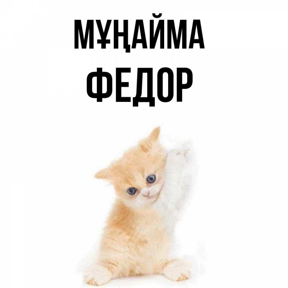 Күн сайын ашық хат с именем, Федор Мұңайма просящий кот Онлайн тегін жүктеп алу тілектері бар керемет карта 