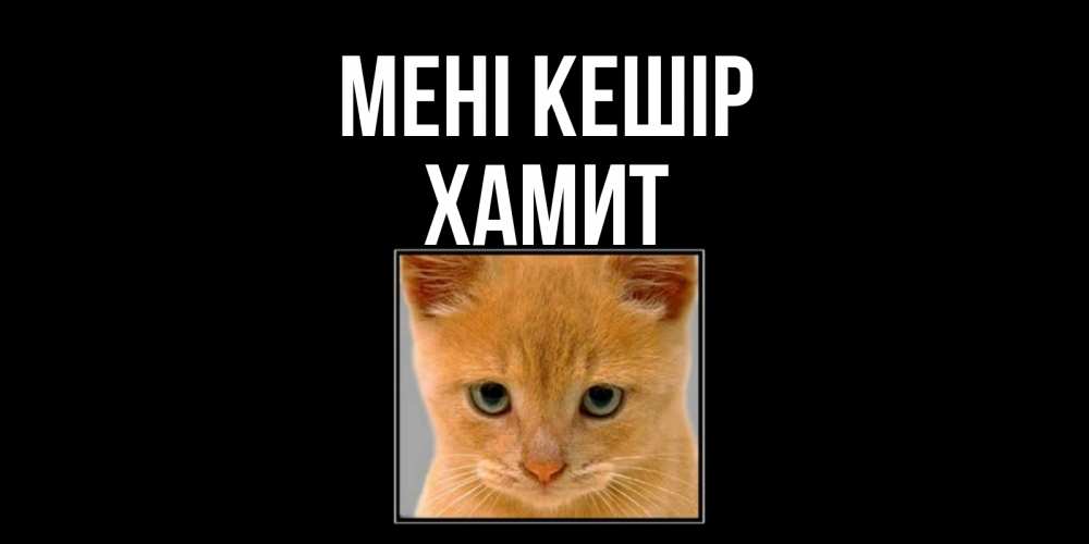 Күн сайын ашық хат с именем, ХАМИТ Мені кешір рыжий грустный кот просит прощения Онлайн тегін жүктеп алу тілектері бар керемет карта 