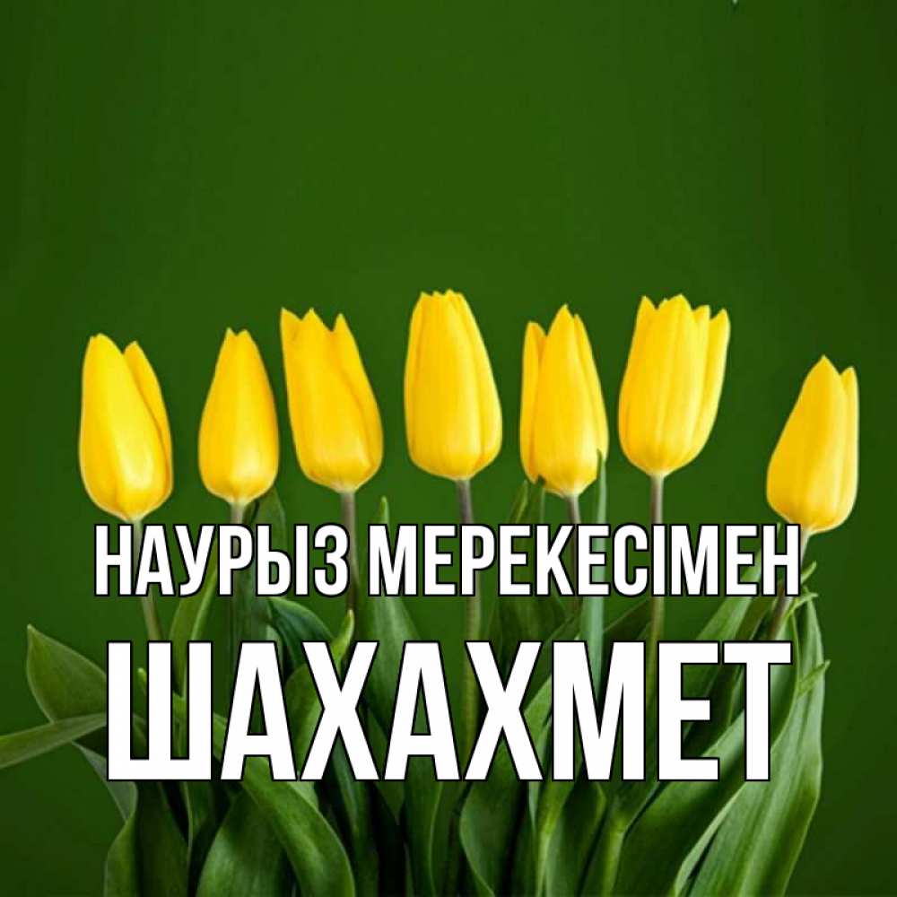 Күн сайын ашық хат с именем, ШАХАХМЕТ Наурыз мерекесімен желтого цвета 3 Онлайн тегін жүктеп алу тілектері бар керемет карта 
