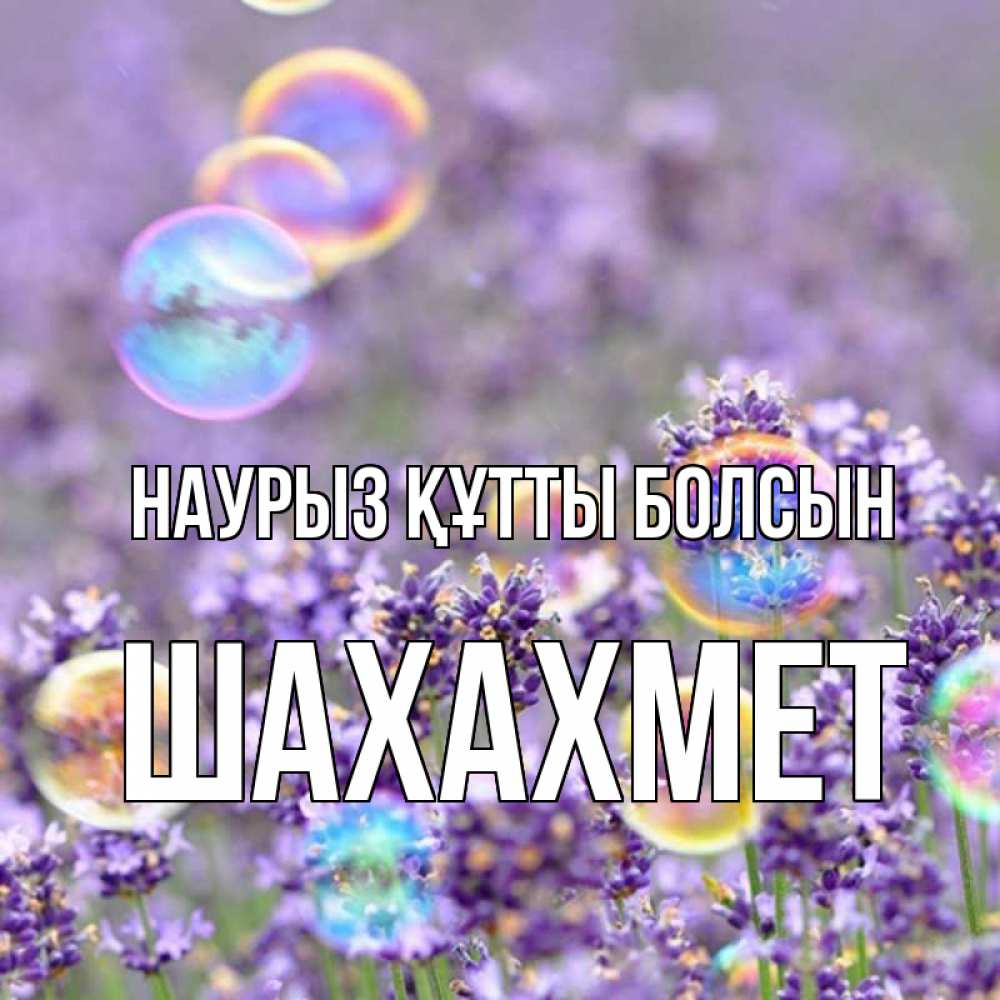 Күн сайын ашық хат с именем, ШАХАХМЕТ Наурыз құтты болсын цветы Онлайн тегін жүктеп алу тілектері бар керемет карта 