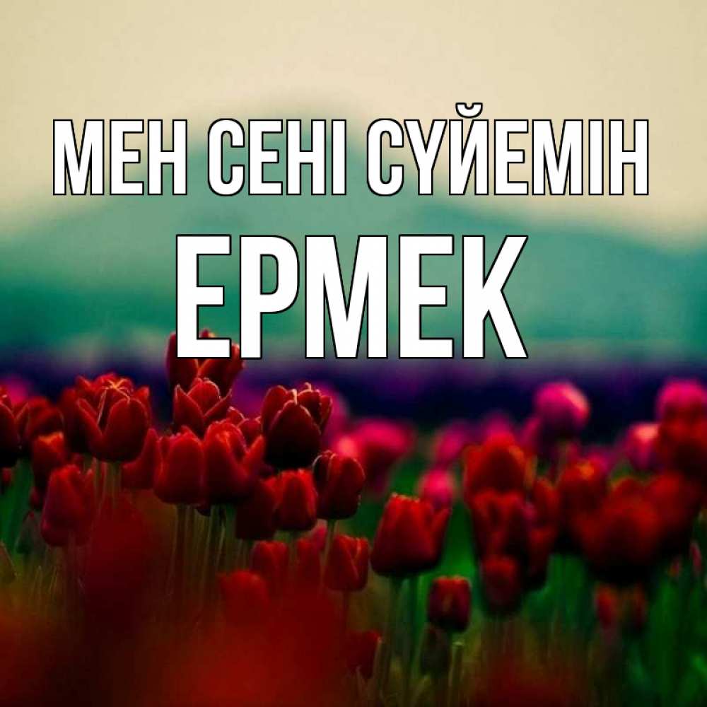 Күн сайын ашық хат с именем, Ермек Мен сені сүйемін тюльпаны 4 Онлайн тегін жүктеп алу тілектері бар керемет карта 