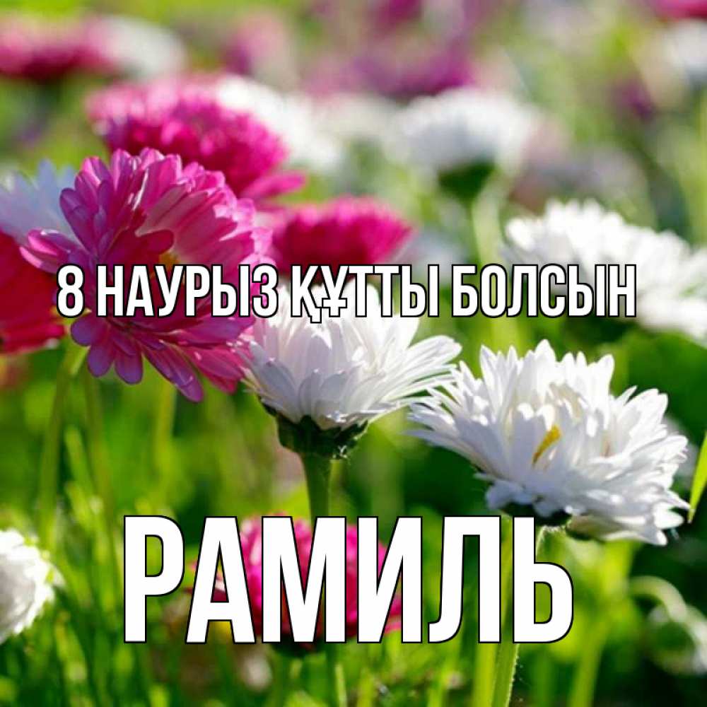 Күн сайын ашық хат с именем, Рамиль 8 наурыз құтты болсын международный женский день 1 Онлайн тегін жүктеп алу тілектері бар керемет карта 