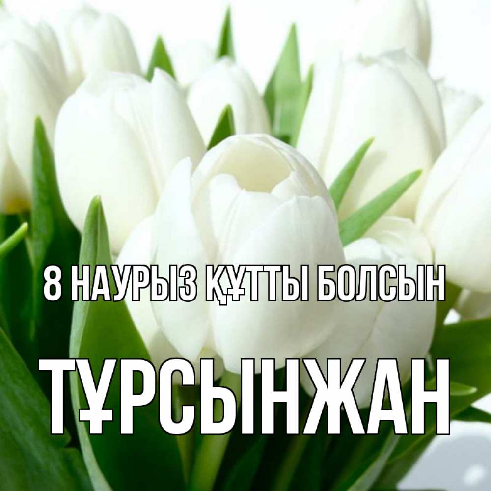 Күн сайын ашық хат с именем, ТҰРСЫНЖАН 8 наурыз құтты болсын цветы Онлайн тегін жүктеп алу тілектері бар керемет карта 