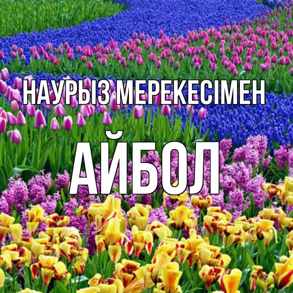 Күн сайын ашық хат с именем, Айбол Наурыз мерекесімен цветы Онлайн тегін жүктеп алу тілектері бар керемет карта 