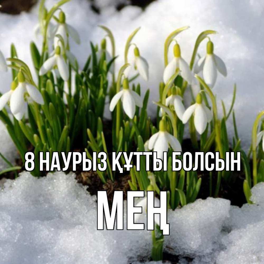 Күн сайын ашық хат с именем, МЕҢ 8 наурыз құтты болсын цветы весенние Онлайн тегін жүктеп алу тілектері бар керемет карта 