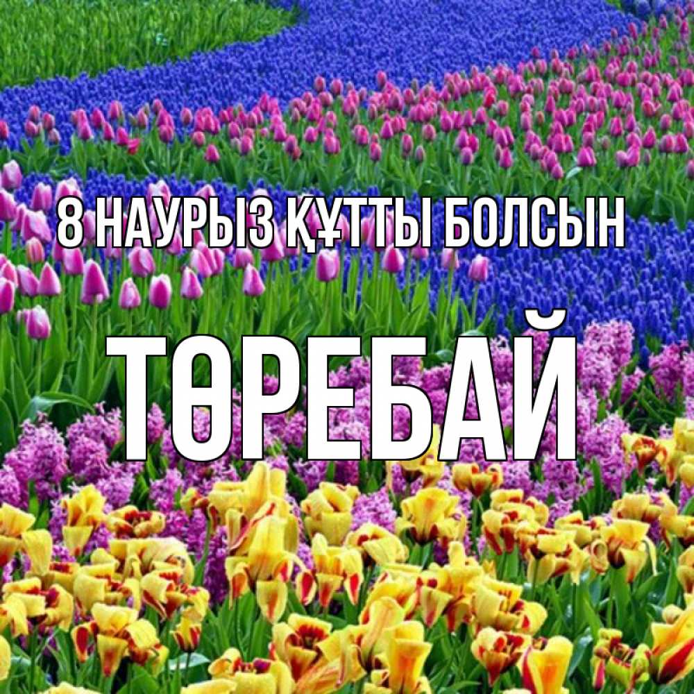 Күн сайын ашық хат с именем, Төребай 8 наурыз құтты болсын цветы Онлайн тегін жүктеп алу тілектері бар керемет карта 