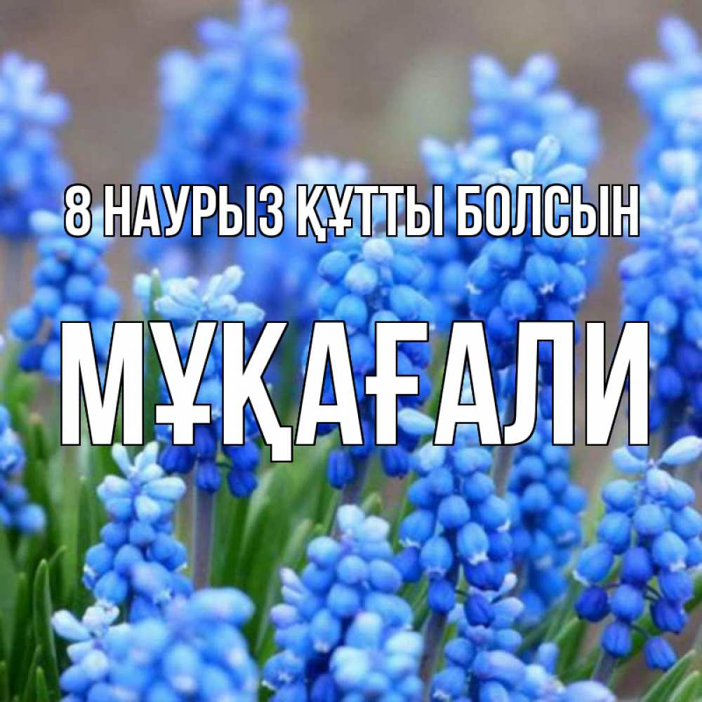 Күн сайын ашық хат с именем, МҰҚАҒАЛИ 8 наурыз құтты болсын Поздравительная открытка для женщин с цветами на праздничную дату Онлайн тегін жүктеп алу тілектері бар керемет карта 