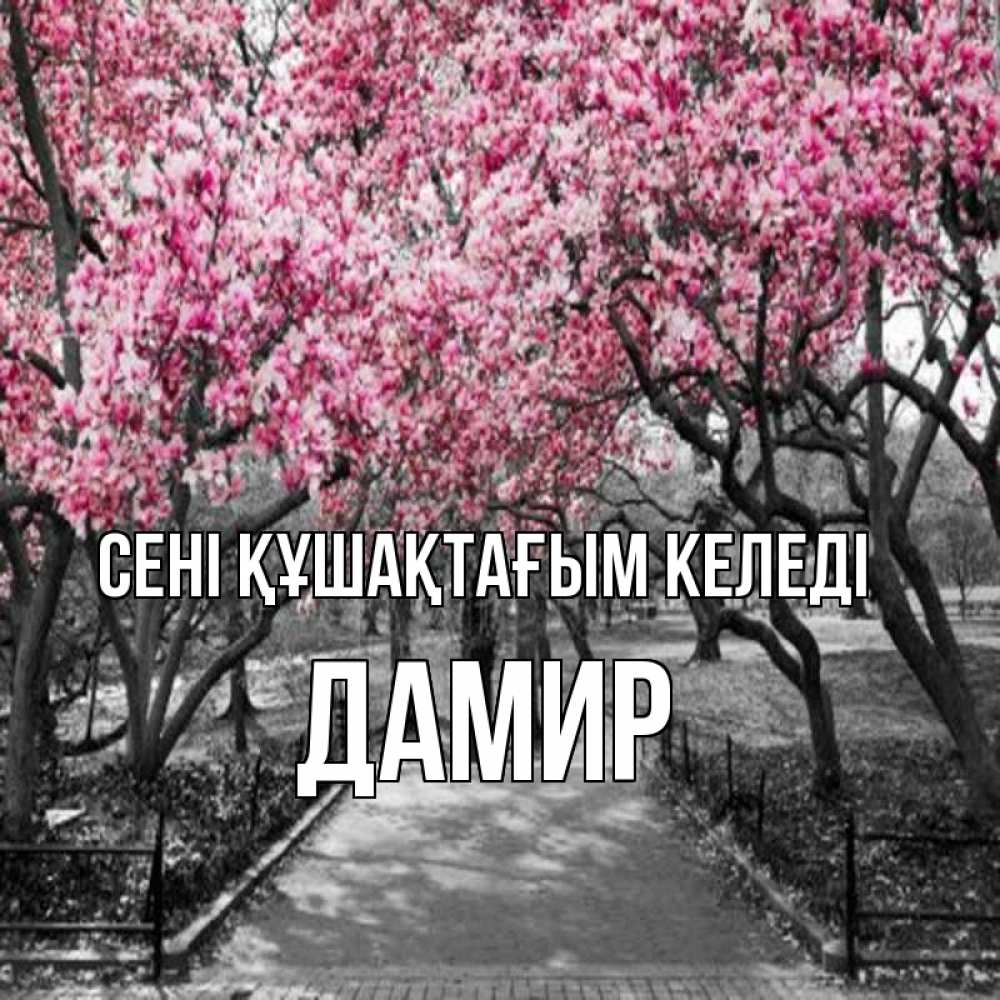 Күн сайын ашық хат с именем, Дамир сені құшақтағым келеді обработанное фото Онлайн тегін жүктеп алу тілектері бар керемет карта 