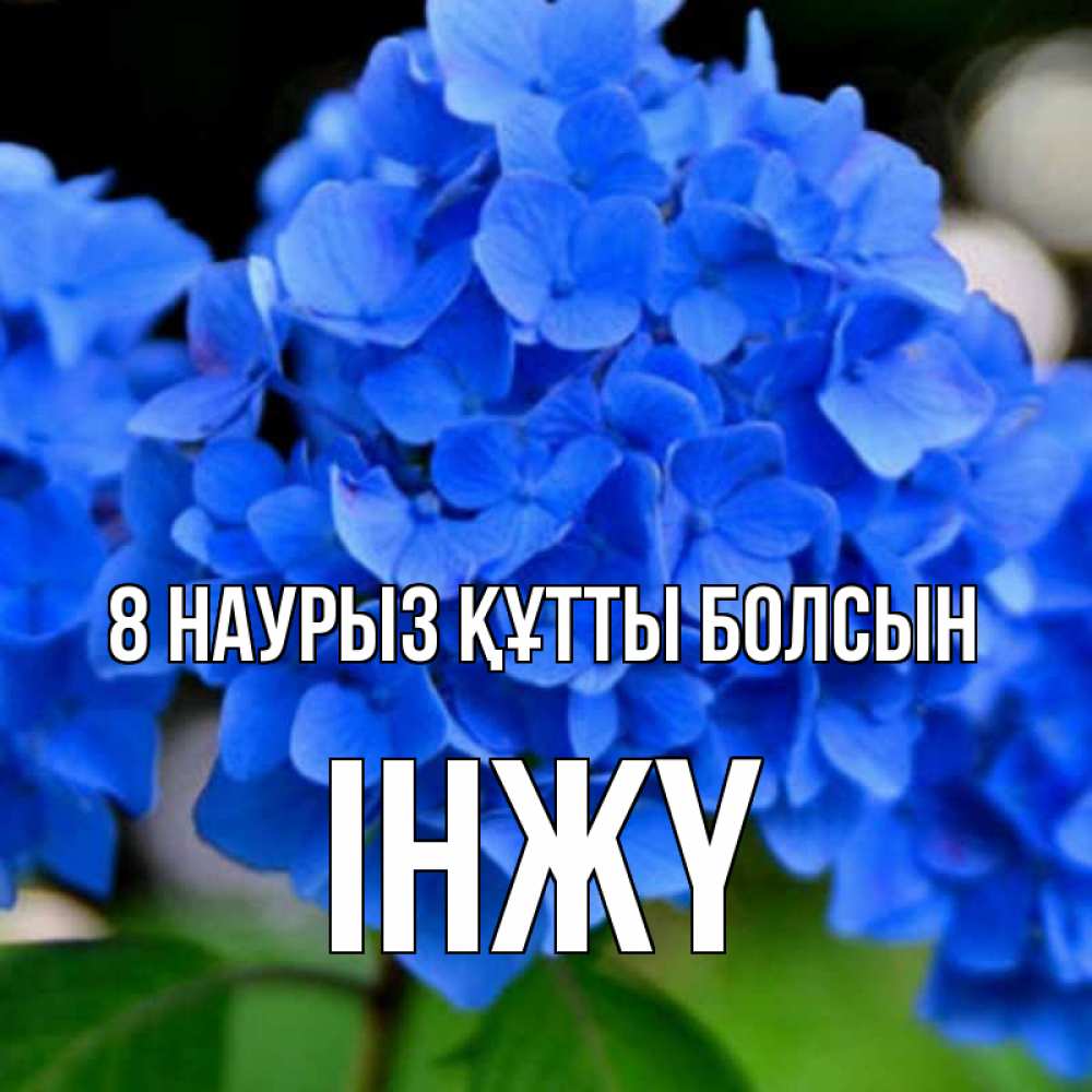 Күн сайын ашық хат с именем, ІНЖҮ 8 наурыз құтты болсын синие цветы Онлайн тегін жүктеп алу тілектері бар керемет карта 