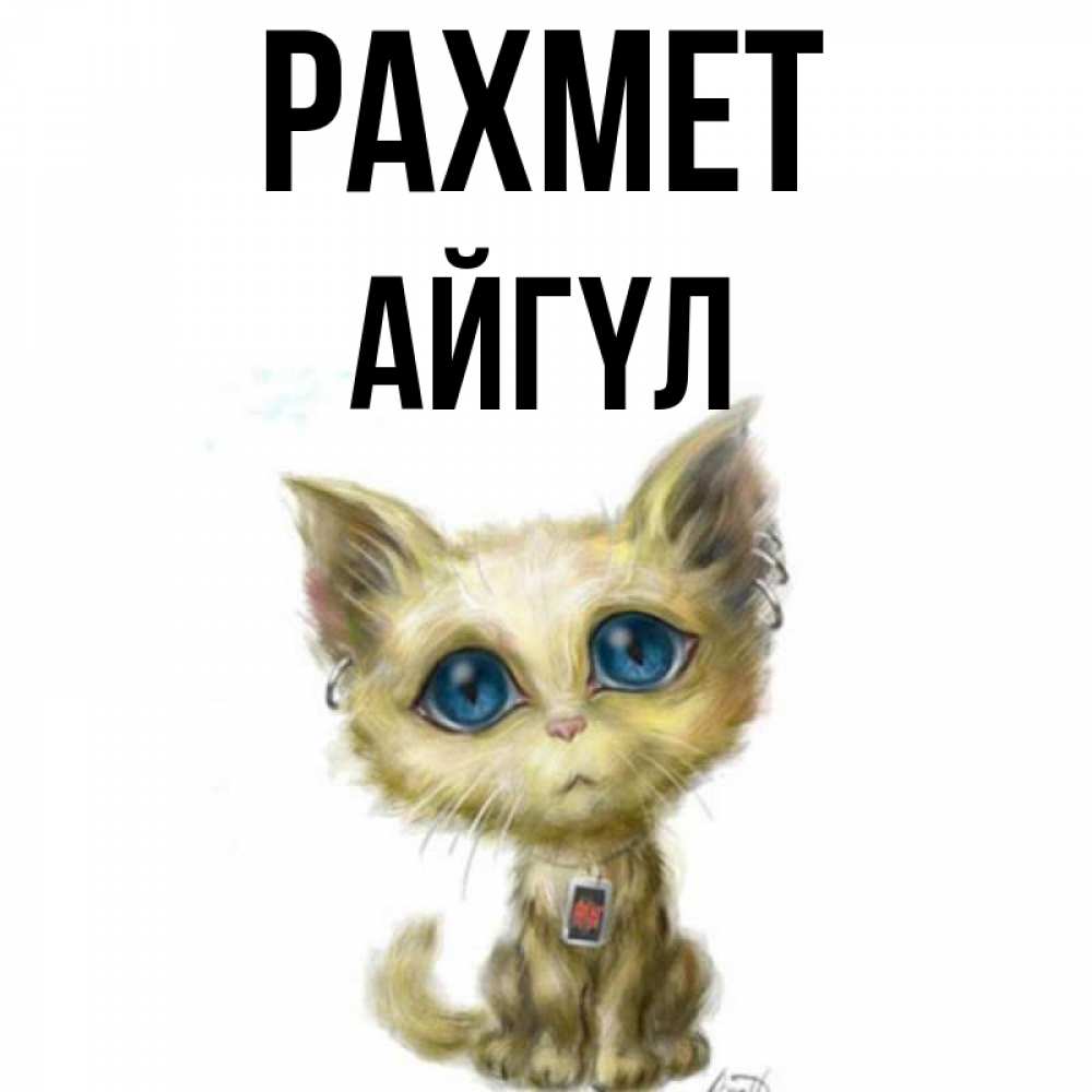 Күн сайын ашық хат с именем, АЙГҮЛ рахмет рисованный кот благодарит вас Онлайн тегін жүктеп алу тілектері бар керемет карта 