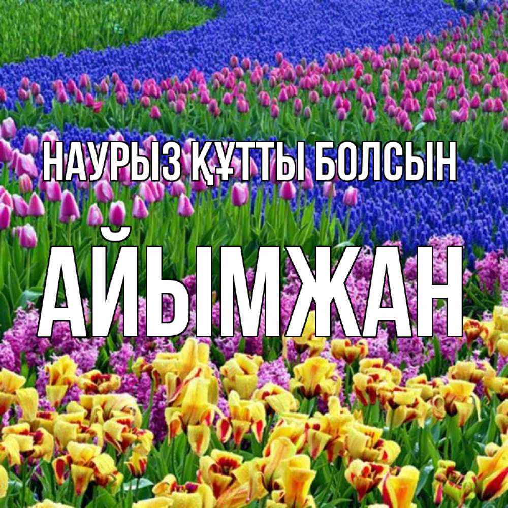 Күн сайын ашық хат с именем, АЙЫМЖАН Наурыз құтты болсын цветы Онлайн тегін жүктеп алу тілектері бар керемет карта 