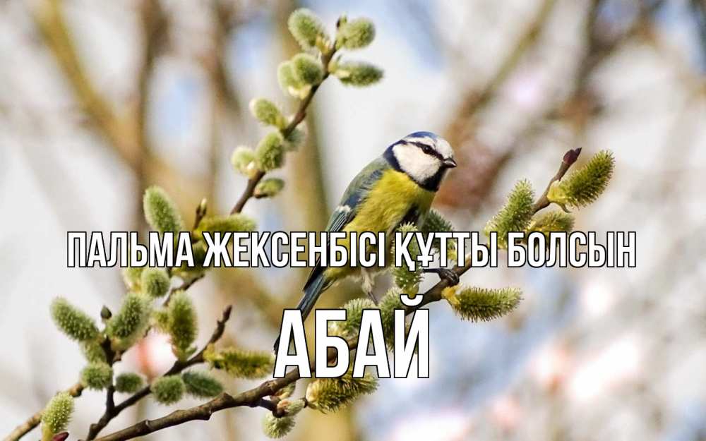 Күн сайын ашық хат с именем, Абай Пальма жексенбісі құтты болсын верба Онлайн тегін жүктеп алу тілектері бар керемет карта 