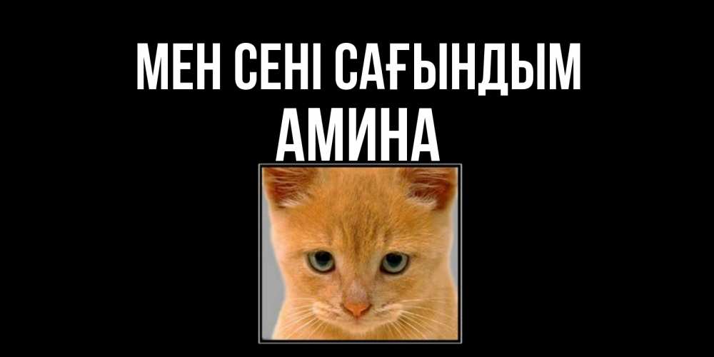 Күн сайын ашық хат с именем, Амина Мен сені сағындым открытки рыжий котенок скучает по тебе Онлайн тегін жүктеп алу тілектері бар керемет карта 