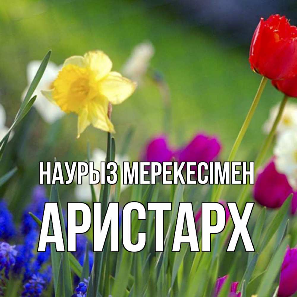 Күн сайын ашық хат с именем, Аристарх Наурыз мерекесімен праздник весны наурыз 3 Онлайн тегін жүктеп алу тілектері бар керемет карта 
