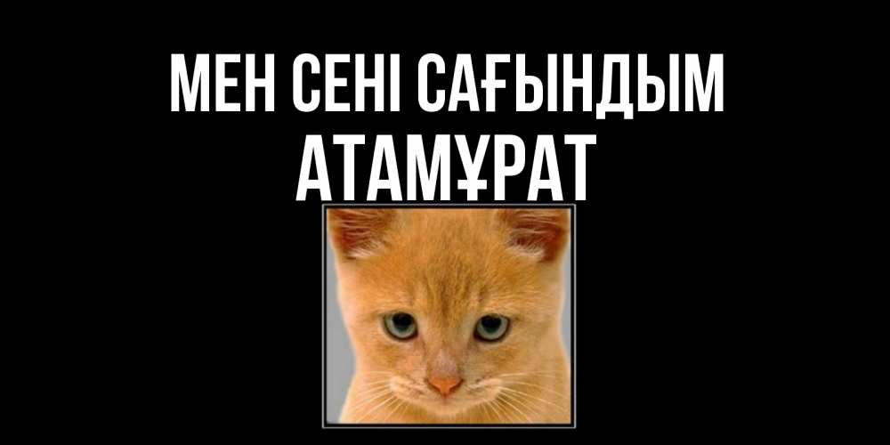Күн сайын ашық хат с именем, Атамұрат Мен сені сағындым открытки рыжий котенок скучает по тебе Онлайн тегін жүктеп алу тілектері бар керемет карта 
