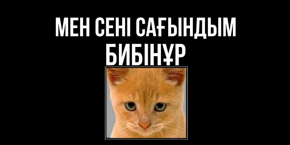 Күн сайын ашық хат с именем, БИБІНҰР Мен сені сағындым открытки рыжий котенок скучает по тебе Онлайн тегін жүктеп алу тілектері бар керемет карта 