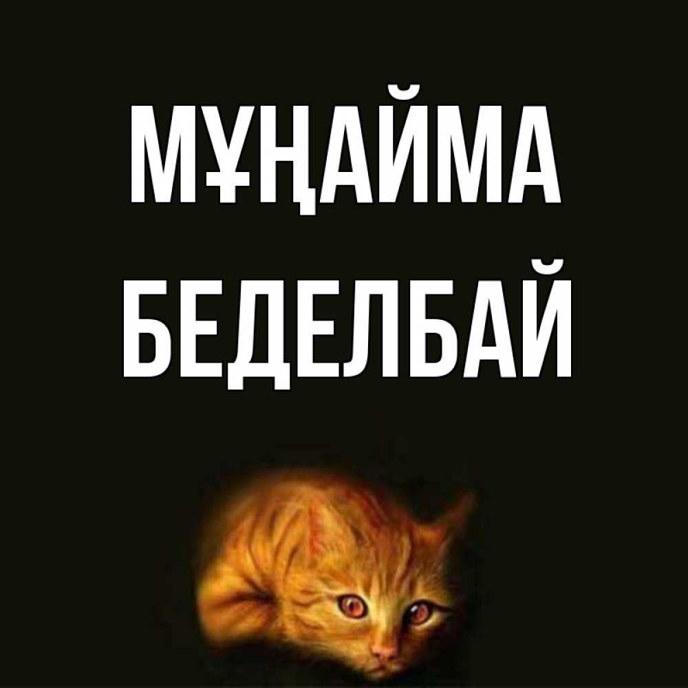 Күн сайын ашық хат с именем, Беделбай Мұңайма лежащий кот в темноте Онлайн тегін жүктеп алу тілектері бар керемет карта 