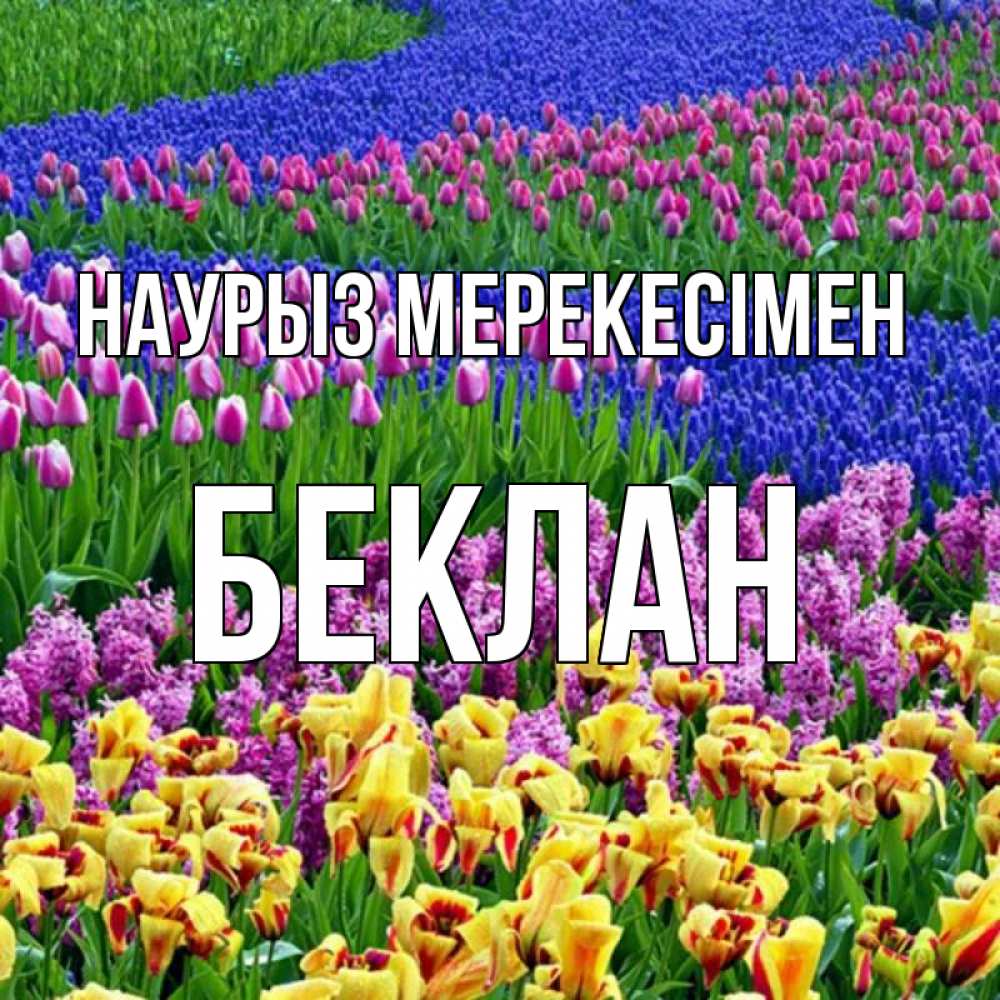 Күн сайын ашық хат с именем, Беклан Наурыз мерекесімен цветы Онлайн тегін жүктеп алу тілектері бар керемет карта 