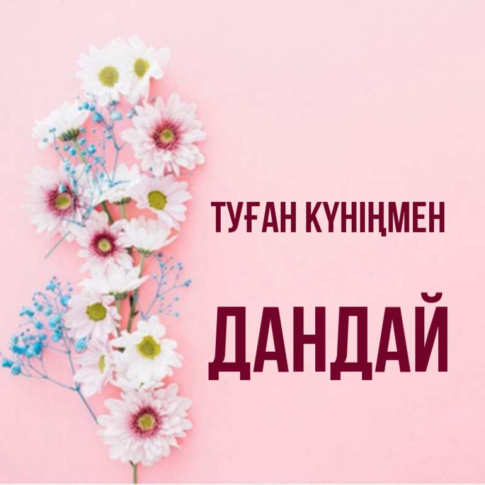 Күн сайын ашық хат с именем, Дандай Туған күніңмен Родная моя с днем рождения тебя картинка с цветами белыми и голубыми Онлайн тегін жүктеп алу тілектері бар керемет карта 