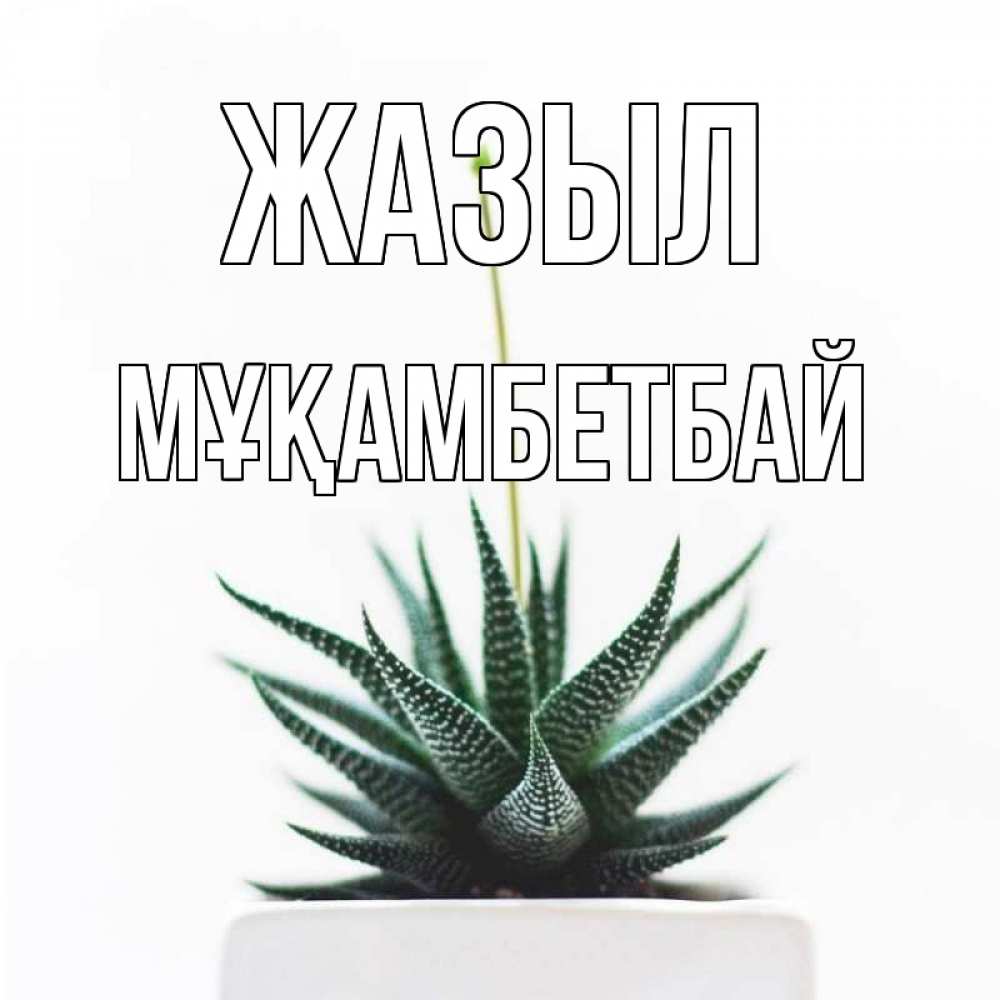 Күн сайын ашық хат с именем, Мұқамбетбай Жазыл короче это непонятная колючка Онлайн тегін жүктеп алу тілектері бар керемет карта 