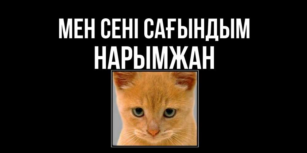 Күн сайын ашық хат с именем, НАРЫМЖАН Мен сені сағындым открытки рыжий котенок скучает по тебе Онлайн тегін жүктеп алу тілектері бар керемет карта 