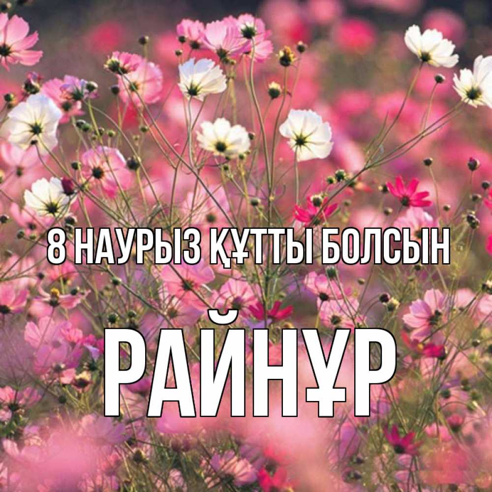 Күн сайын ашық хат с именем, РАЙНҰР 8 наурыз құтты болсын красиво 1 Онлайн тегін жүктеп алу тілектері бар керемет карта 