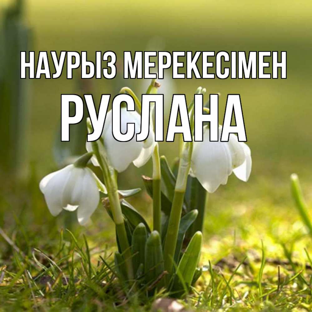 Күн сайын ашық хат с именем, РУСЛАНА Наурыз мерекесімен ранние цветы 2 Онлайн тегін жүктеп алу тілектері бар керемет карта 