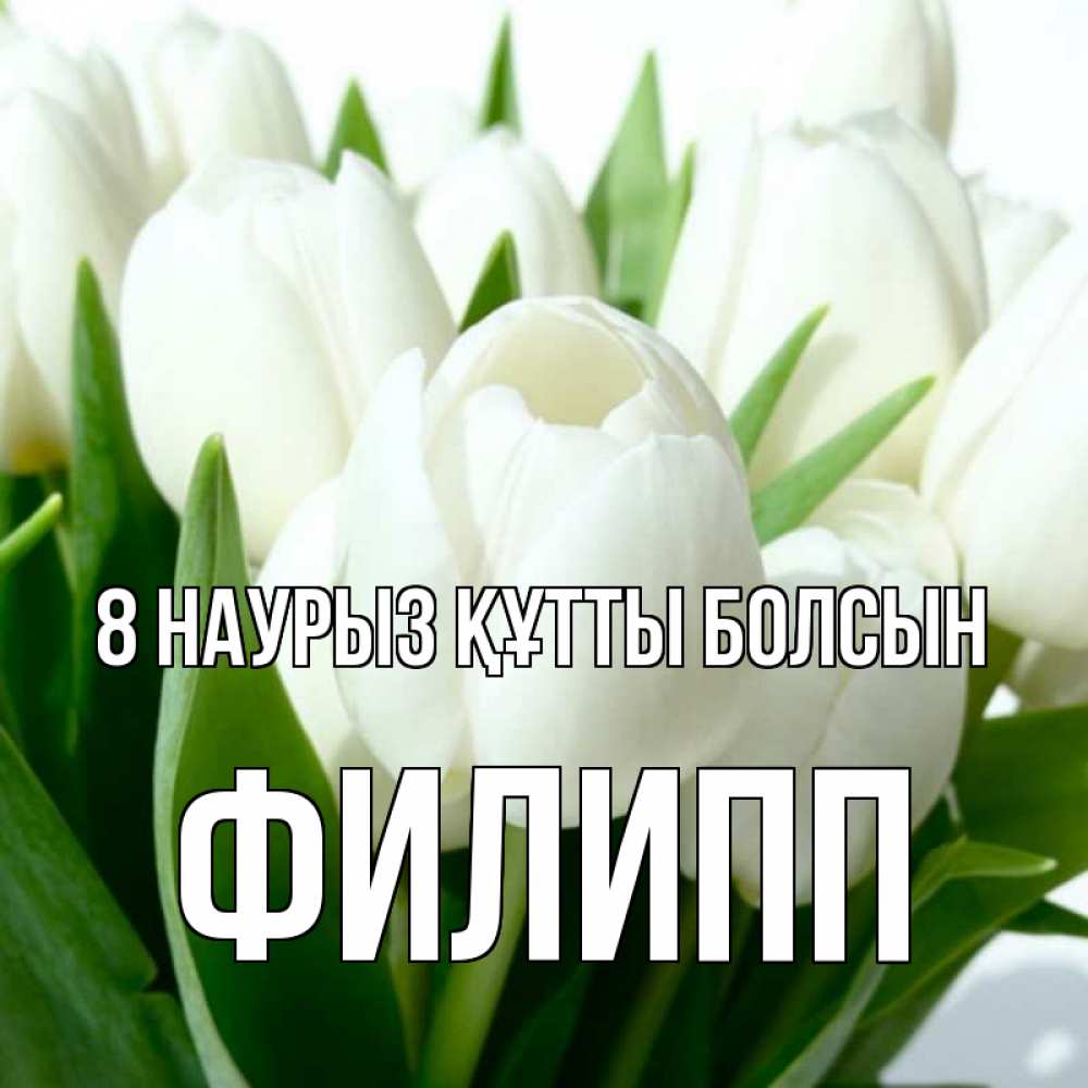 Күн сайын ашық хат с именем, Филипп 8 наурыз құтты болсын цветы Онлайн тегін жүктеп алу тілектері бар керемет карта 