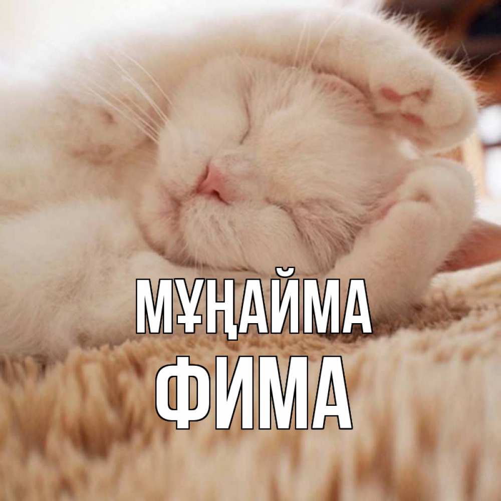 Күн сайын ашық хат с именем, Фима Мұңайма белый кот Онлайн тегін жүктеп алу тілектері бар керемет карта 