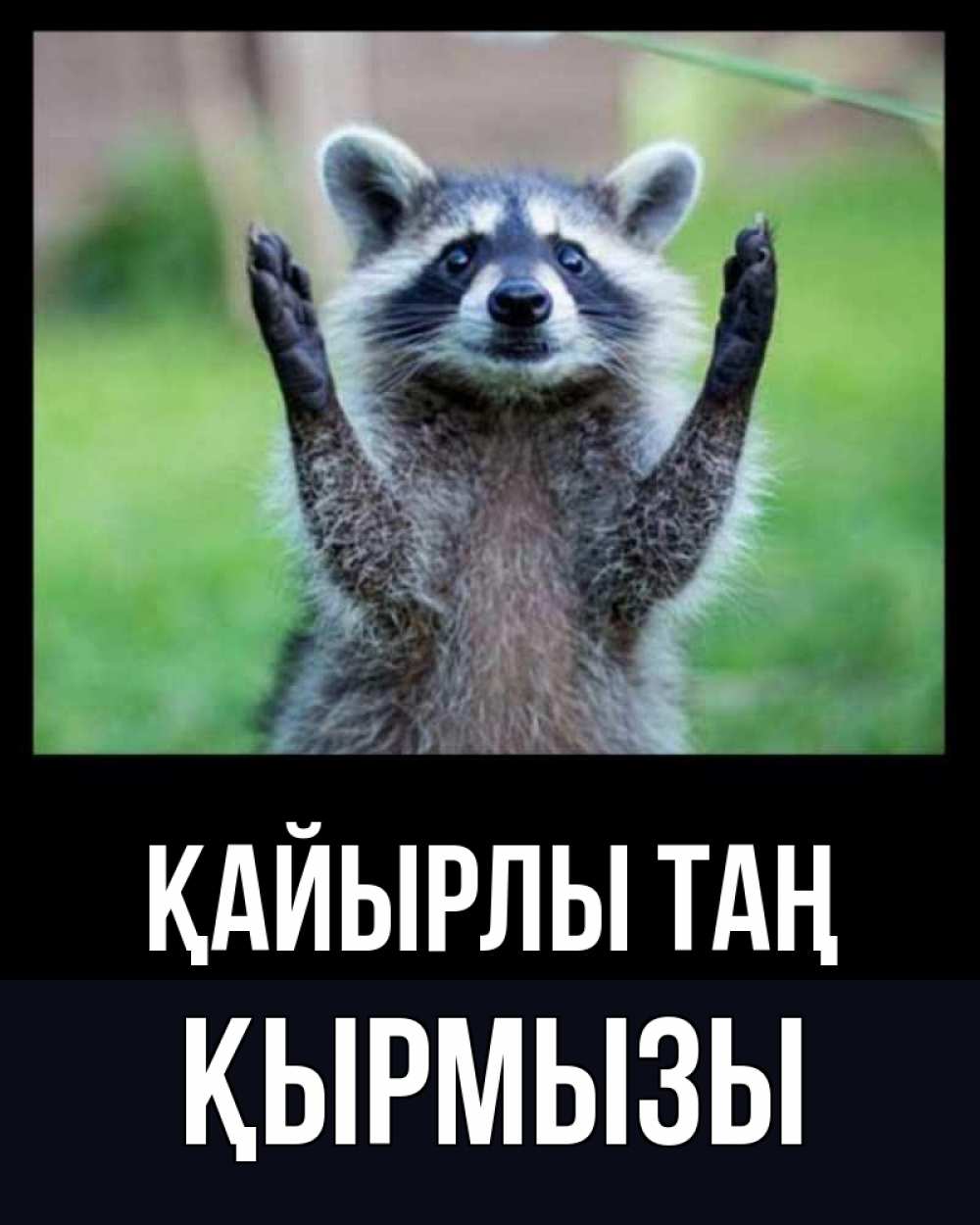 Күн сайын ашық хат с именем, ҚЫРМЫЗЫ Қайырлы таң хорошее настроение утречком Онлайн тегін жүктеп алу тілектері бар керемет карта 