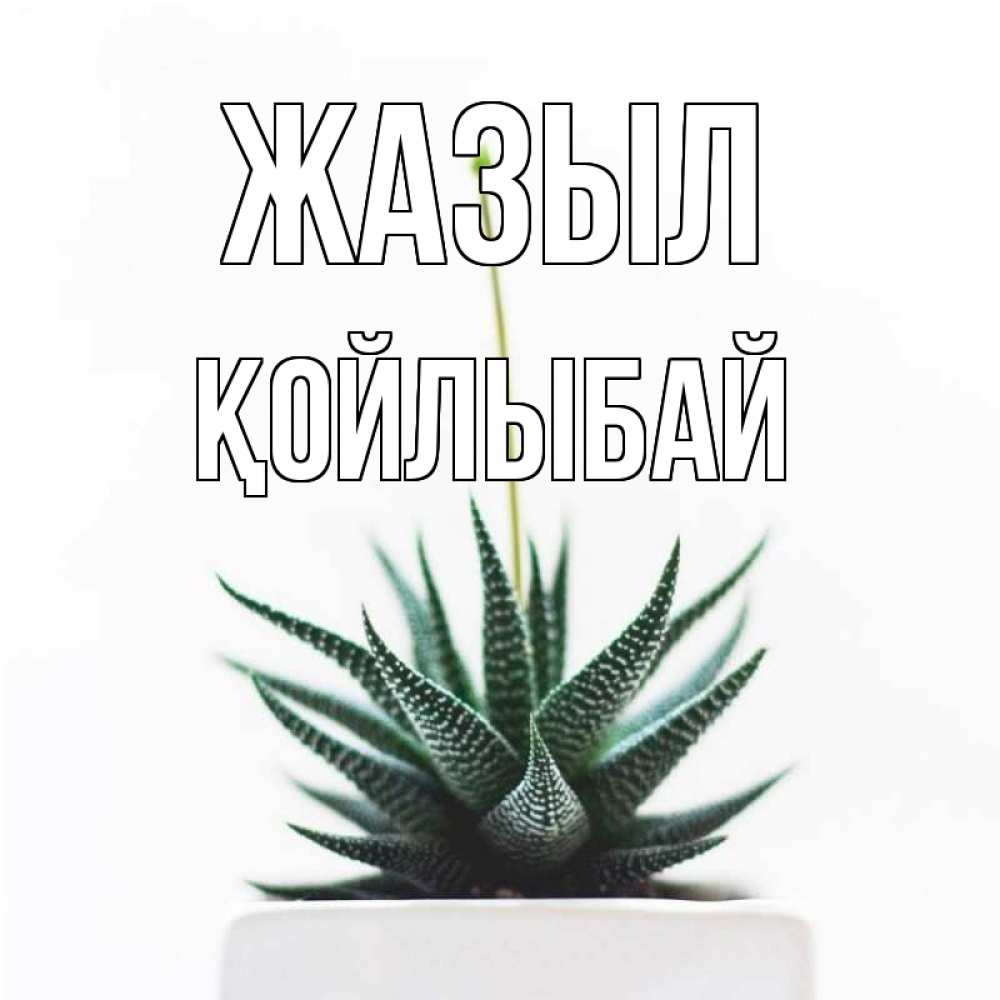 Күн сайын ашық хат с именем, Қойлыбай Жазыл короче это непонятная колючка Онлайн тегін жүктеп алу тілектері бар керемет карта 