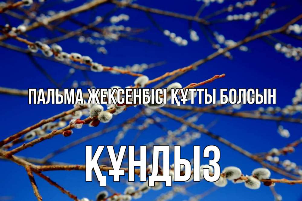 Күн сайын ашық хат с именем, ҚҰНДЫЗ Пальма жексенбісі құтты болсын верба Онлайн тегін жүктеп алу тілектері бар керемет карта 