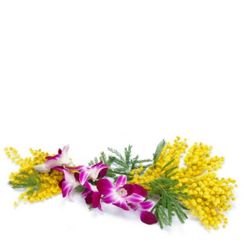 Открытка весенние цветы 1 открытка на международный женский день с цветами  1 Наурыз мерекесімен 