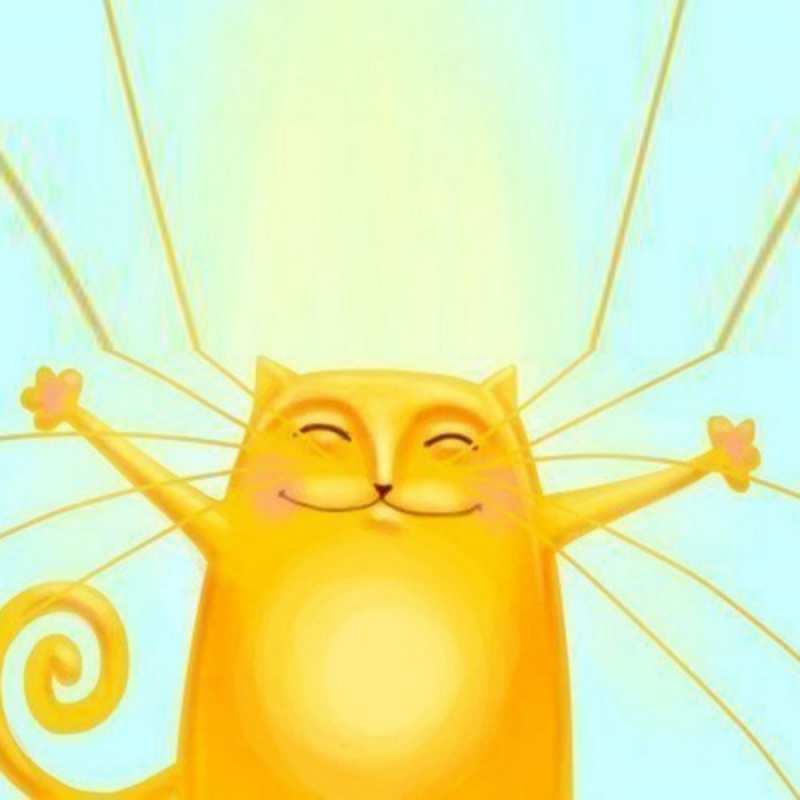 Открытка Кот дарит тепло  обнимашки усатые  Мұңайма 