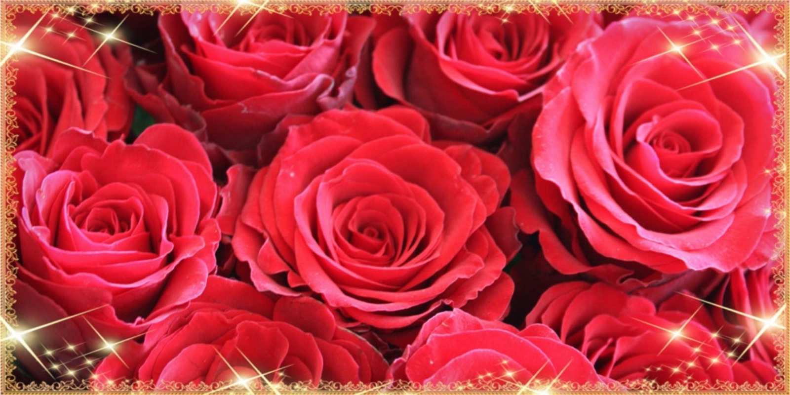 Открытка много распустившихся роз на 8 марта красивым и любимым женщинам открытки на 8 марта 2019 года 8 наурыз құтты болсын 