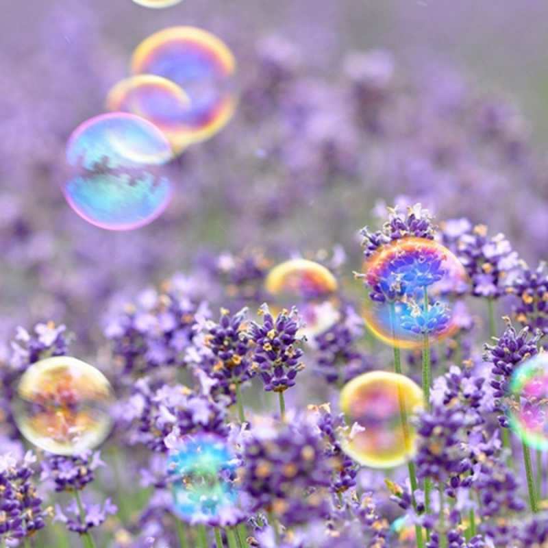 Открытка цветы и мыльные пузыри  цветы  8 наурыз құтты болсын 