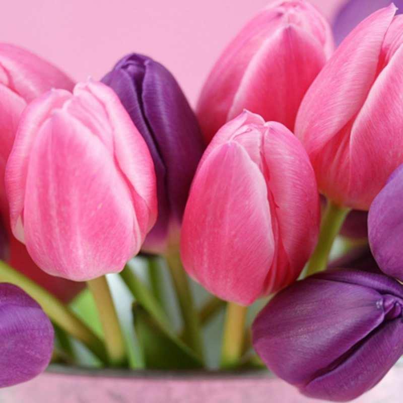 Открытка с тюльпанами 1 маме 1 8 наурыз құтты болсын 